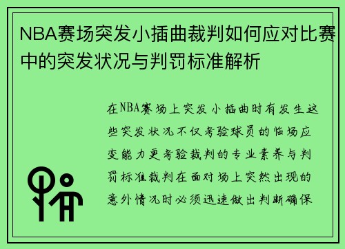 NBA赛场突发小插曲裁判如何应对比赛中的突发状况与判罚标准解析