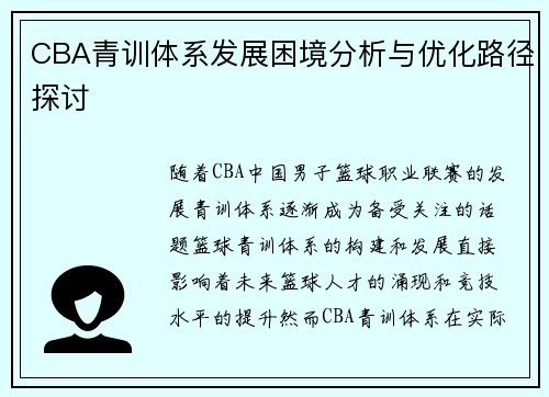 CBA青训体系发展困境分析与优化路径探讨